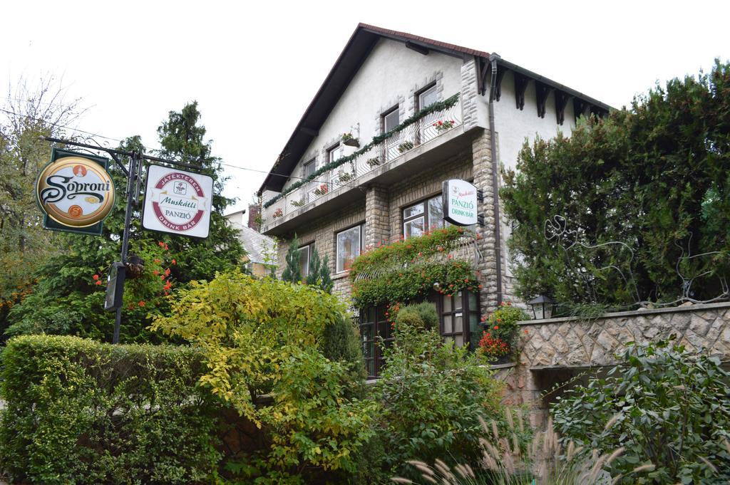 Muskatli Panzio Bed & Breakfast เยอร์ ภายนอก รูปภาพ
